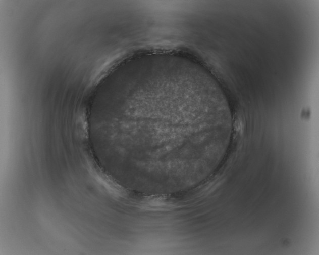 X0000112351252200909241054