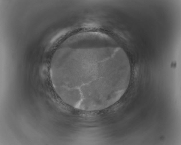 X0000112351254200909241054