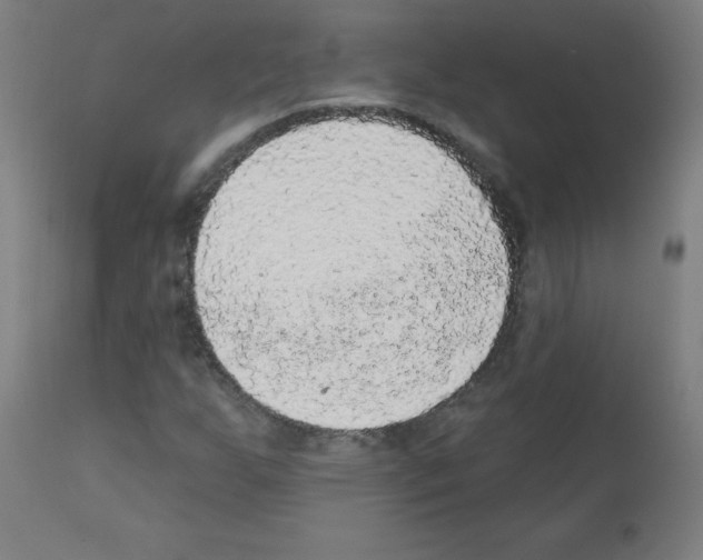 X0000112351255200909241054