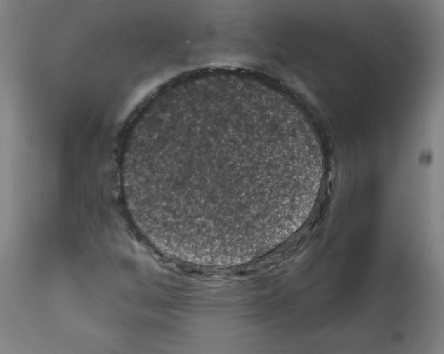 X0000112351256200909241054