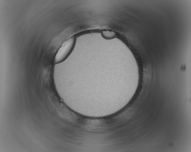 X0000112351257200909241054