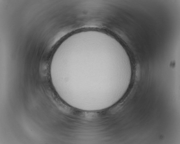 X0000112351258200909241054