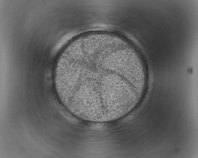 X0000112351259200909241054