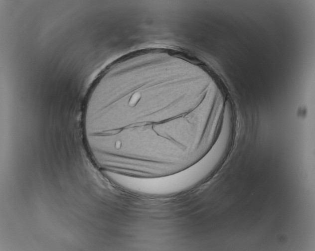 X0000112351260200909241054