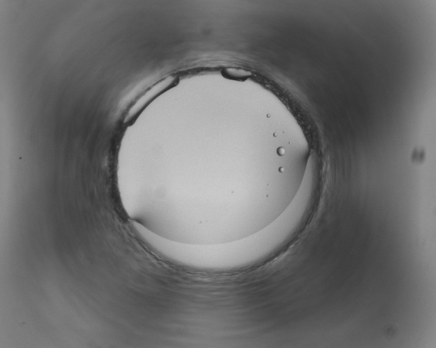 X0000112351261200909241054