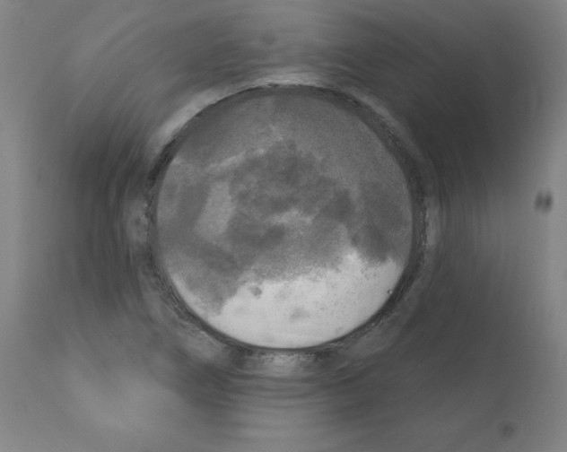 X0000112351266200909241053