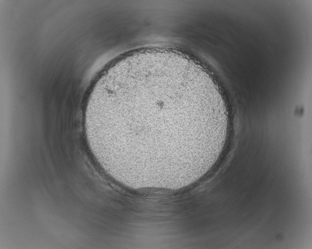 X0000112351267200909241053