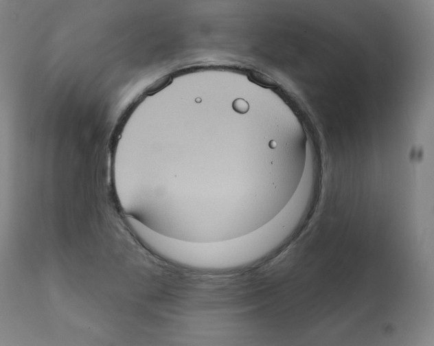 X0000112351269200909241053