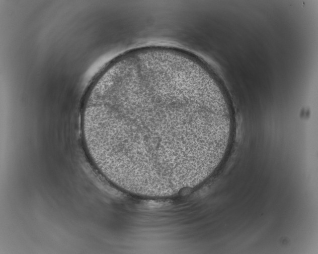 X0000112351271200909241053