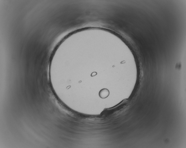 X0000112351272200909241053