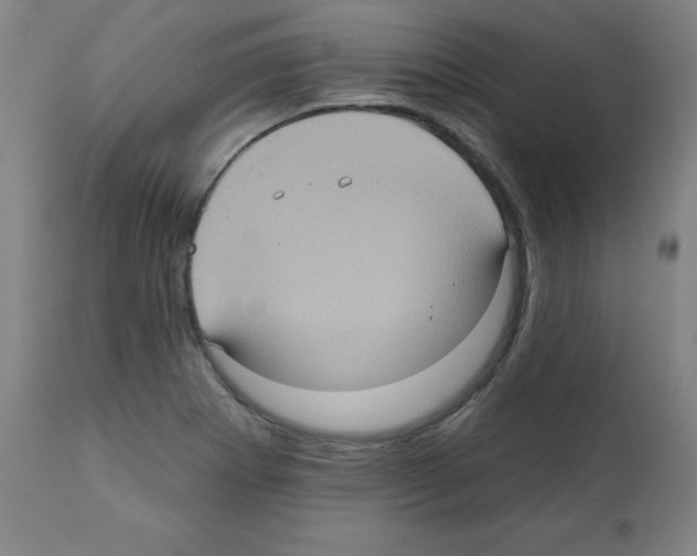 X0000112351273200909241053