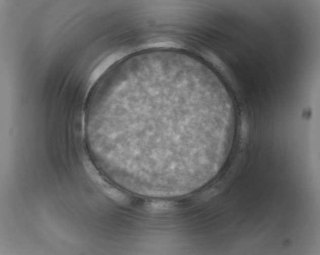 X0000112351274200909241053