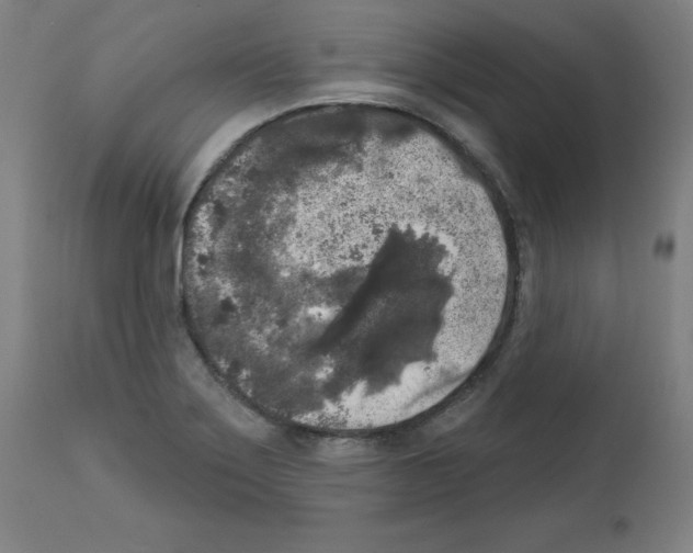 X0000112351275200909241053