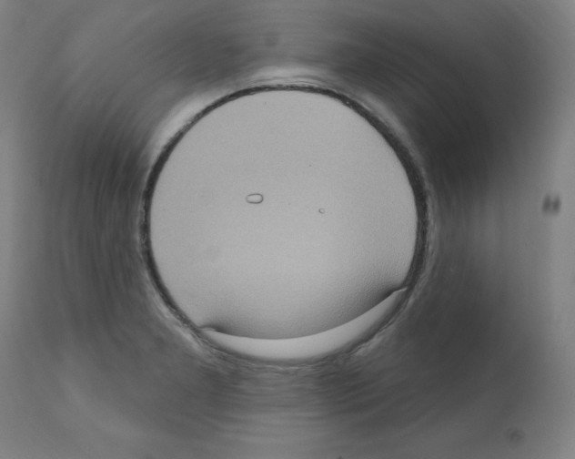 X0000112351277200909241053