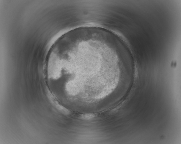 X0000112351278200909241053