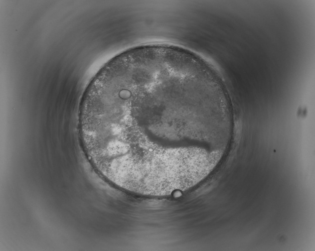 X0000112351279200909241053