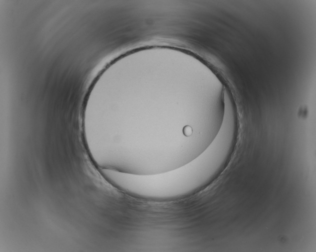 X0000112351280200909241053