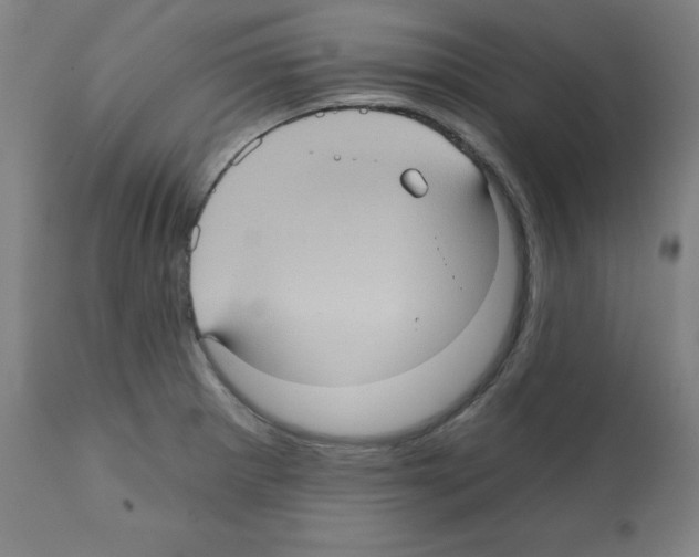 X0000112351281200909241053