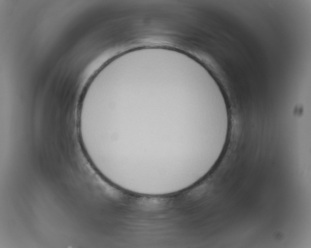 X0000112351286200909241053