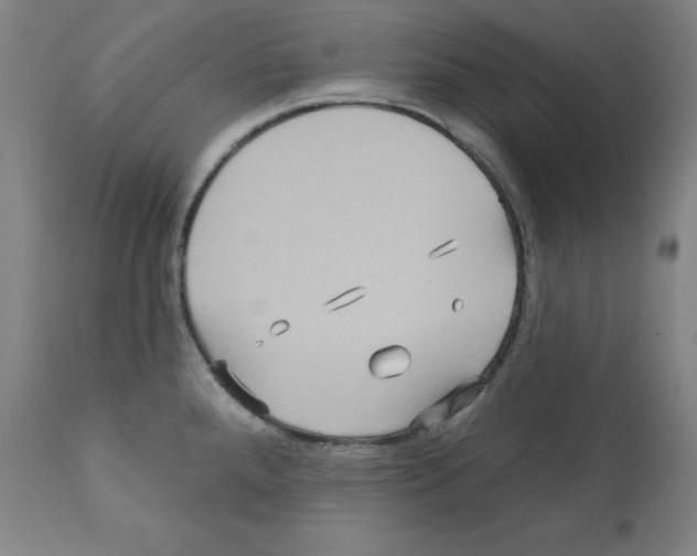 X0000112351288200909241053