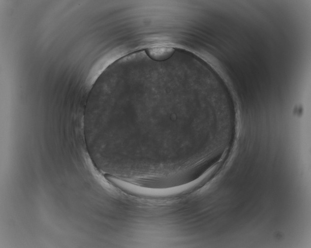 X0000112351289200909241053