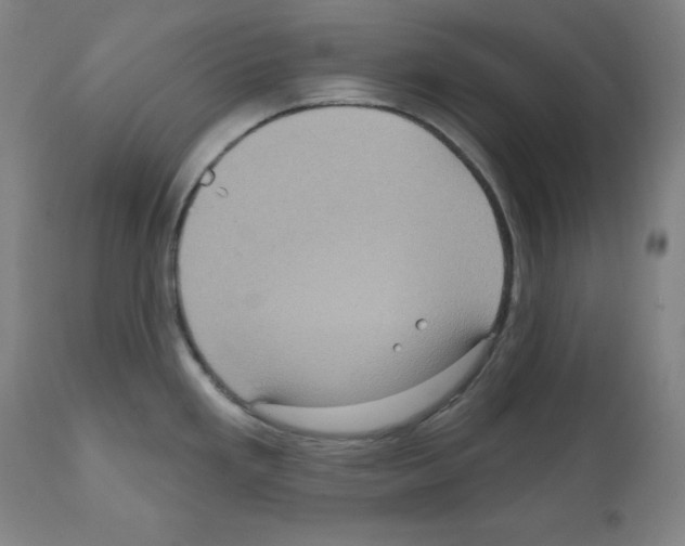 X0000112351293200909241053