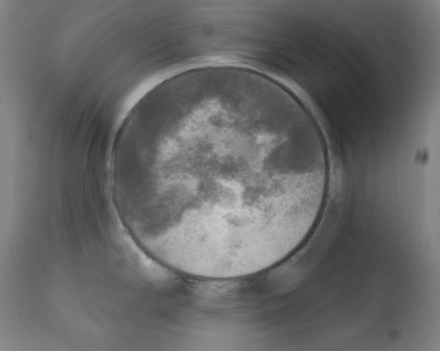 X0000112351294200909241053