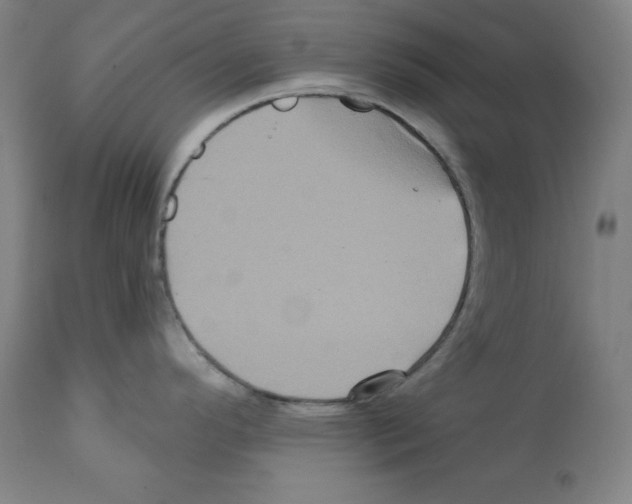 X0000112351296200909241053