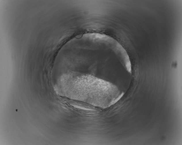 X0000112351297200909241052