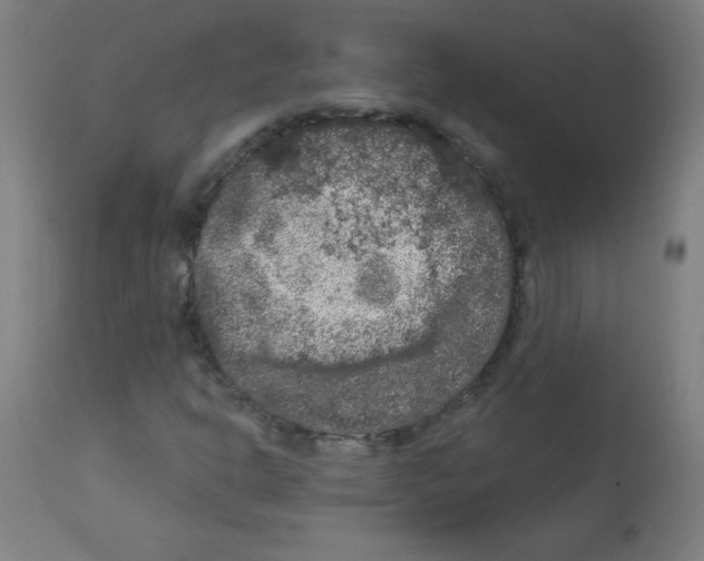 X0000112351302200909241052