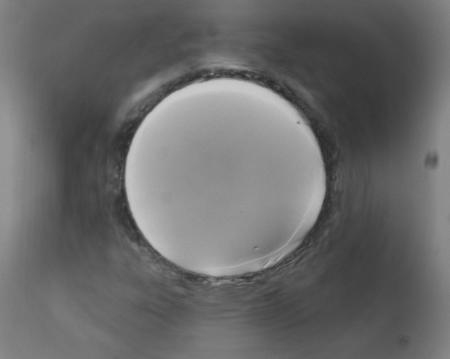 X0000112351303200909241052