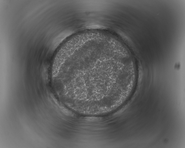 X0000112351305200909241052