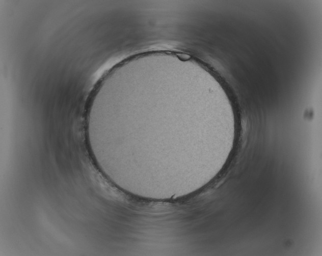 X0000112351308200909241052