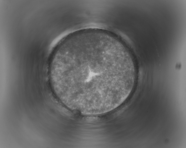 X0000112351310200909241052