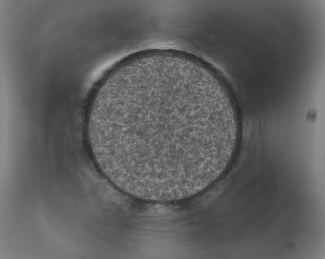 X0000112351311200909241052