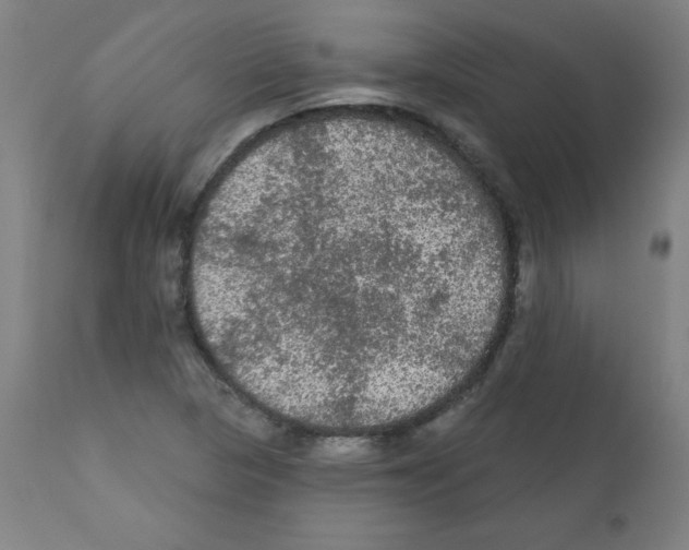 X0000112351313200909241052