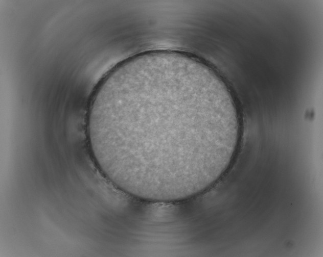 X0000112351314200909241053