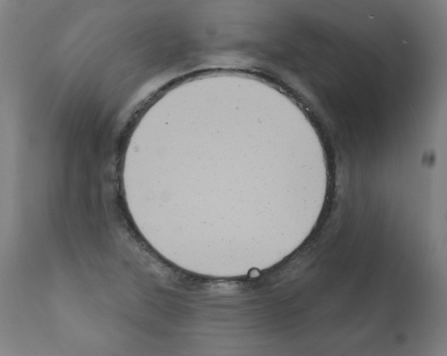 X0000112351315200909241053