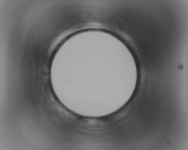 X0000112351318200909241053