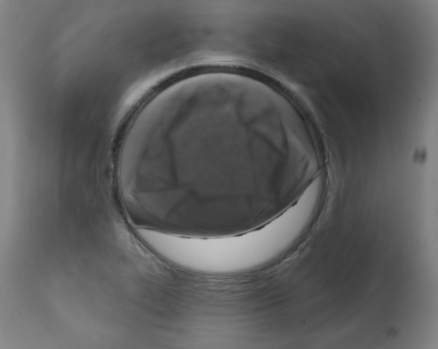 X0000112351319200909241053