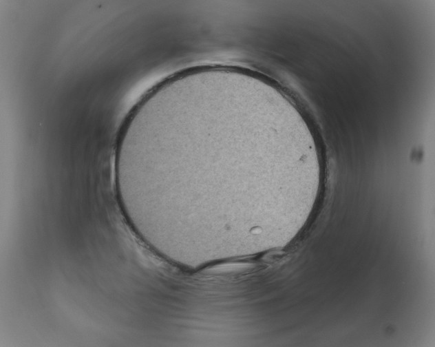 X0000112351320200909241053