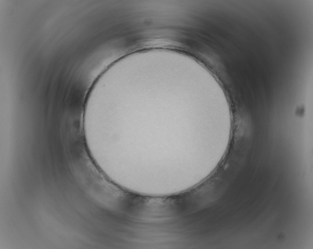 X0000112351322200909241053