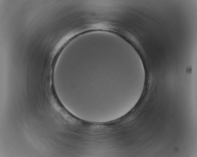 X0000112351323200909241053