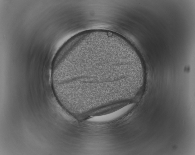 X0000112351324200909241053