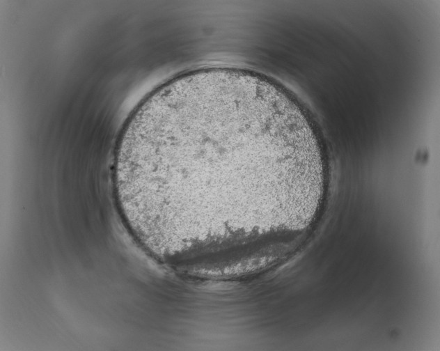 X0000112351325200909241053