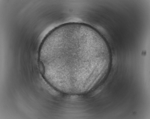 X0000112351326200909241053