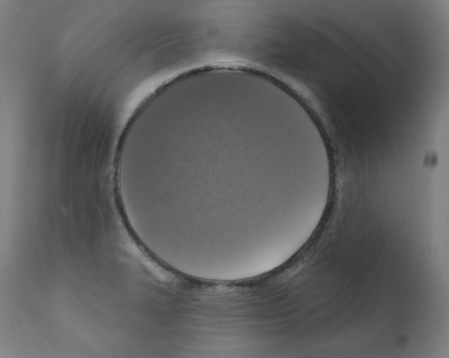 X0000112351327200909241053