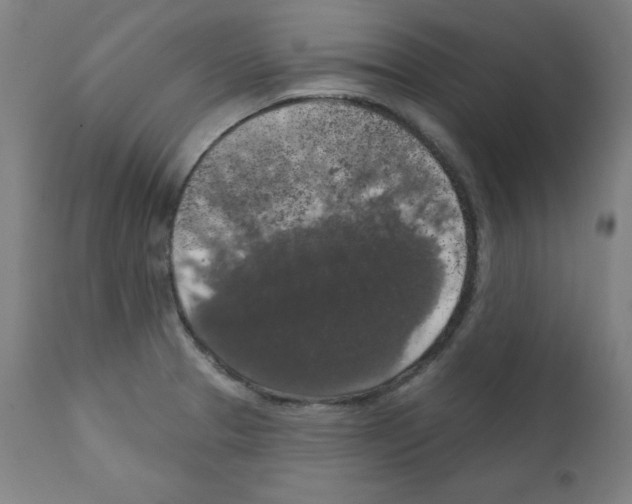 X0000112351329200909241053