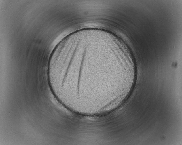 X0000112351330200909241053