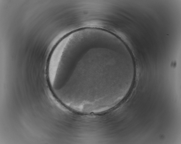 X0000112351331200909241053